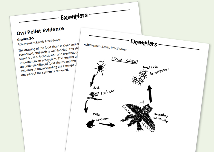 Exemplars Anchor Papers.