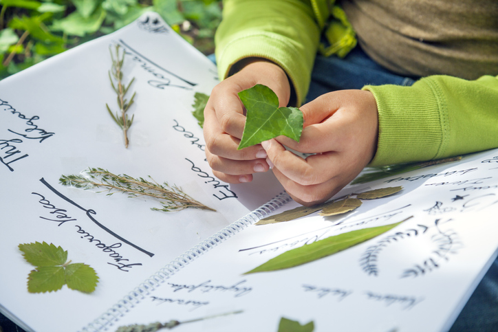 student with leaf