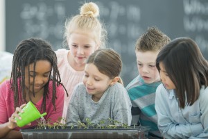 Student watering plants